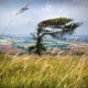 ������ ������������ Wind030922