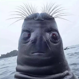 Vlupidoll