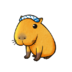 capybara1