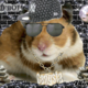   HamsterGangster