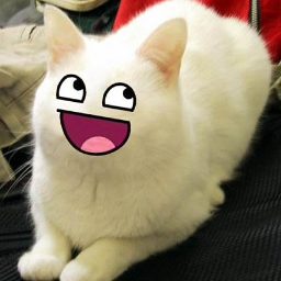 IonCatPlane