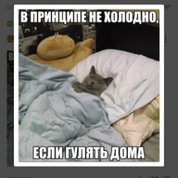 user4495630