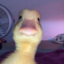MemeGod