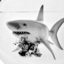 Shark.tururu