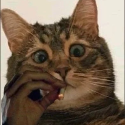brdsoft
