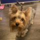 ������ ������������ OliviTeSSa