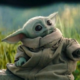������ ������������ POTATARIUS