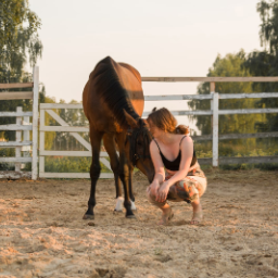 horseblog.Hvoya