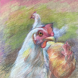 PitifulCreature