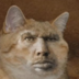 Yobamanser