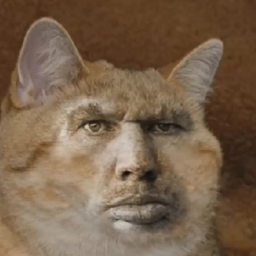 Yobamanser