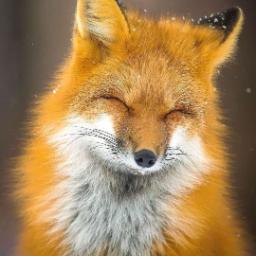 redhead.fox72