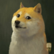 ������ ������������ protoshik