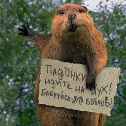 bobrjatina