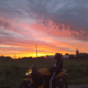 ������ ������������ VelialRider