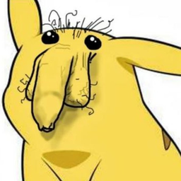 d1kachu