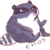 RaccoonNice