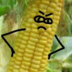 kykyryzik
