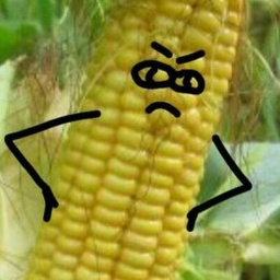kykyryzik