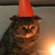 ������ ������������ darkvibek
