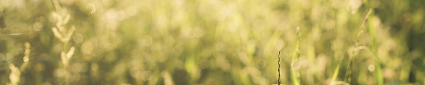 Pikabu banner for @mystique