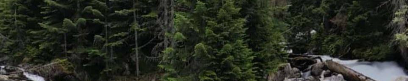 Pikabu banner for @taran