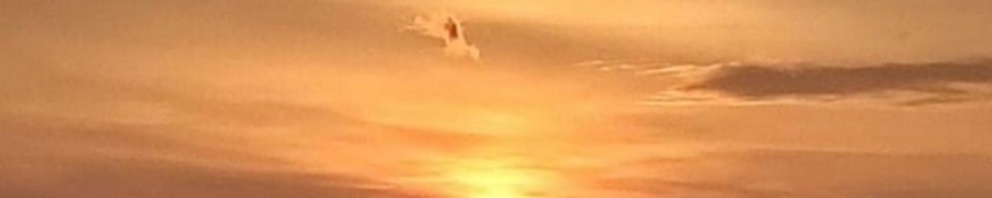 Pikabu banner for @maja03