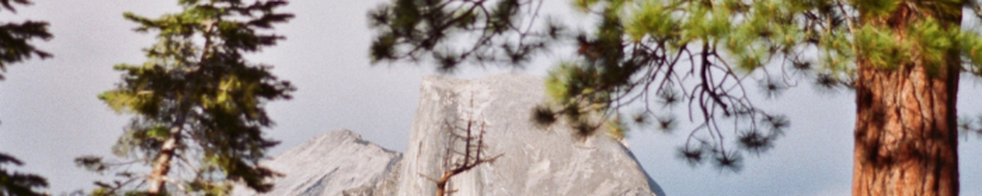 Pikabu banner for @SamW
