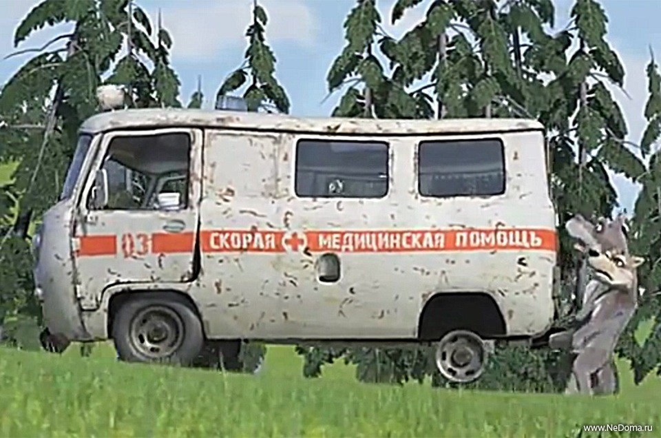 Волки на скорой помощи маша и медведь фото