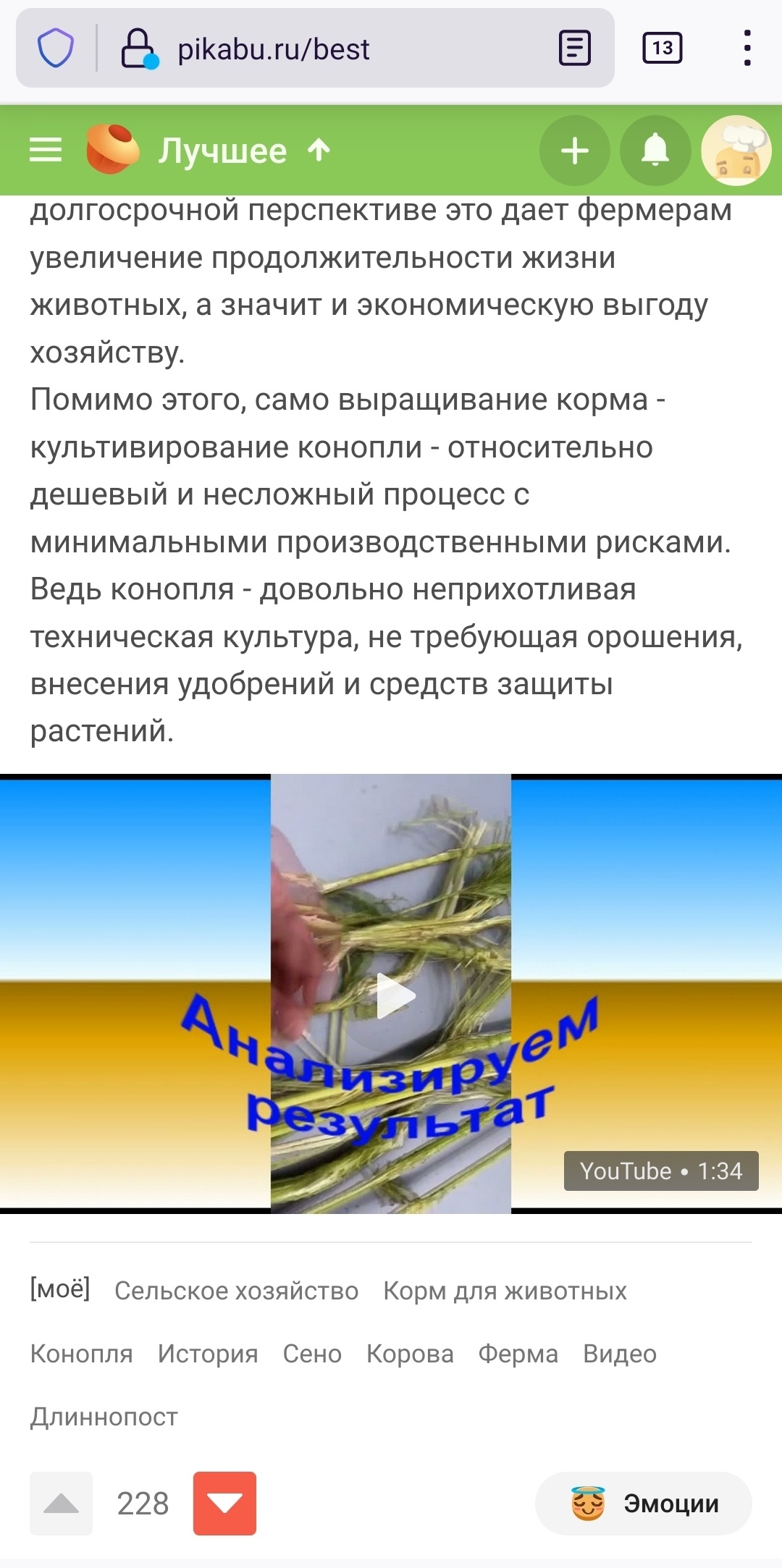 Едят ли коровы коноплю купить конопляные семена почтой