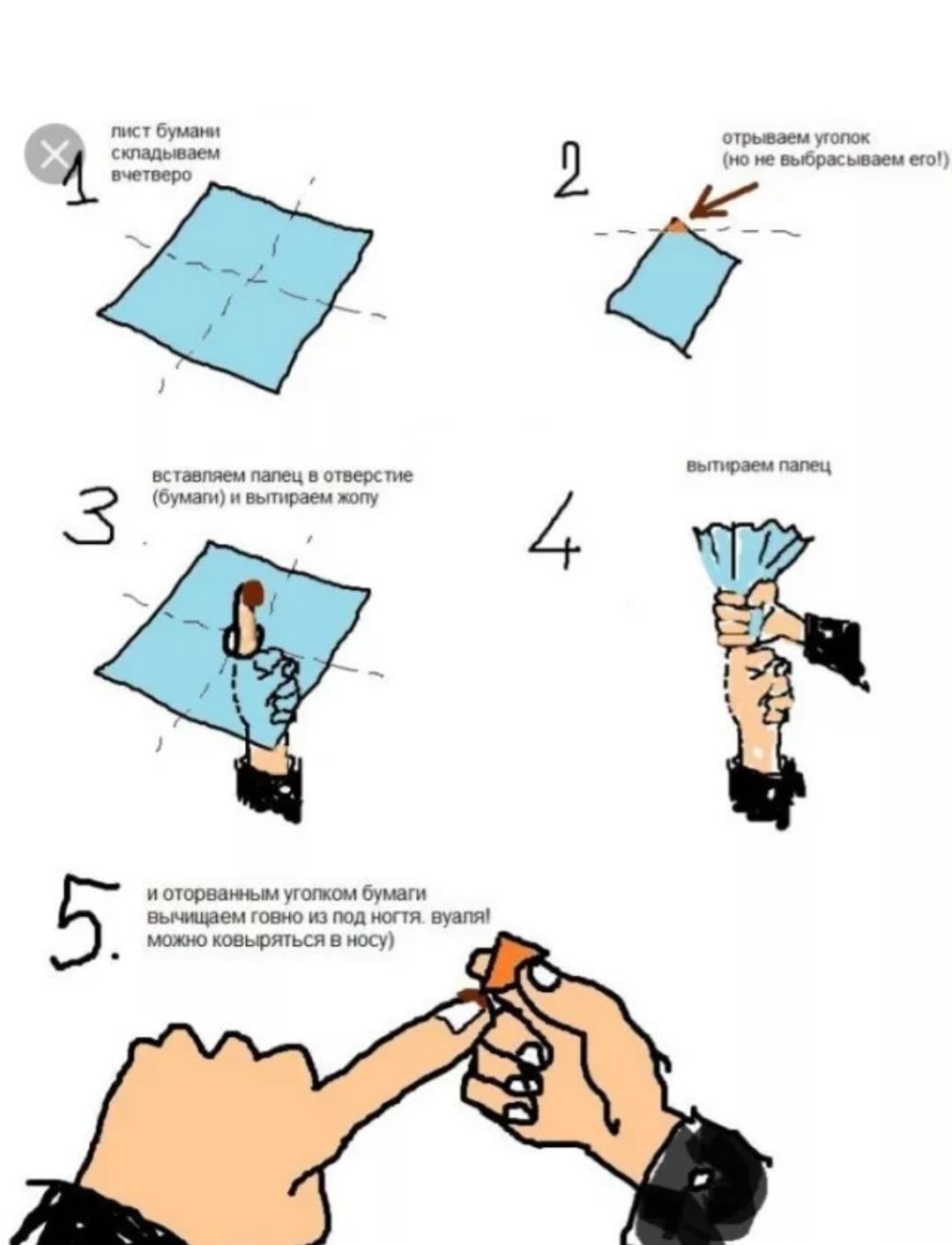 Как правильно вытирать попу туалетной бумагой