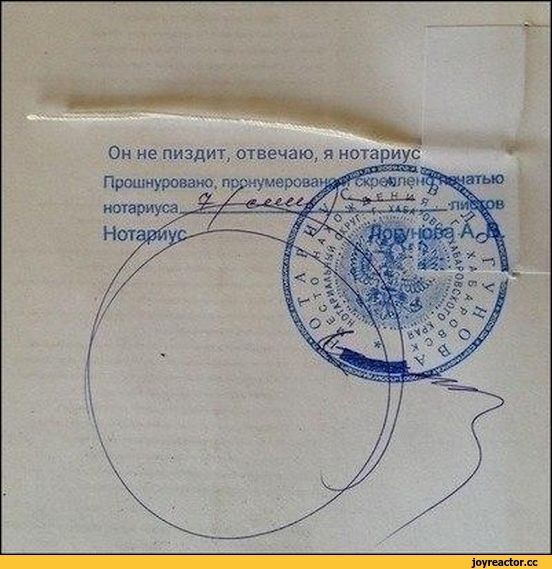 1650305679187248961.jpg