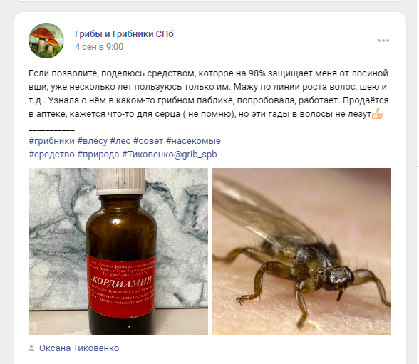 Как защититься от лосиных вшей