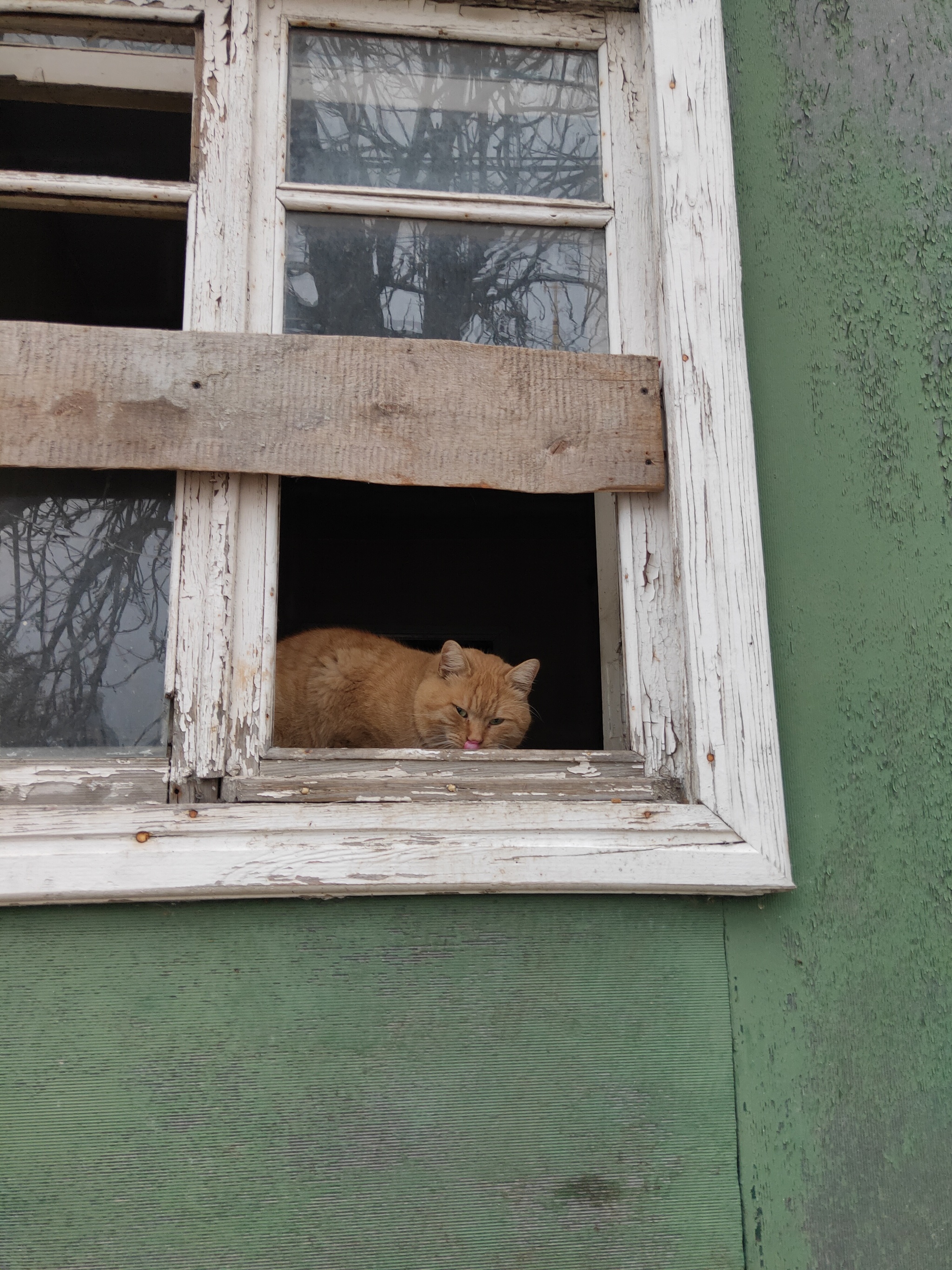 Мама папа и я сидели на скамейке в каком порядке мы сидели