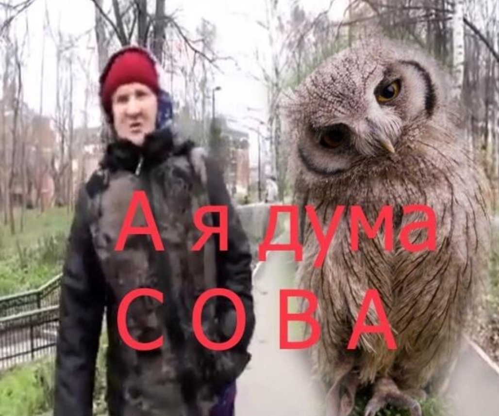 Когда болельщик - установщик дверей и немного клептоман | Пикабу