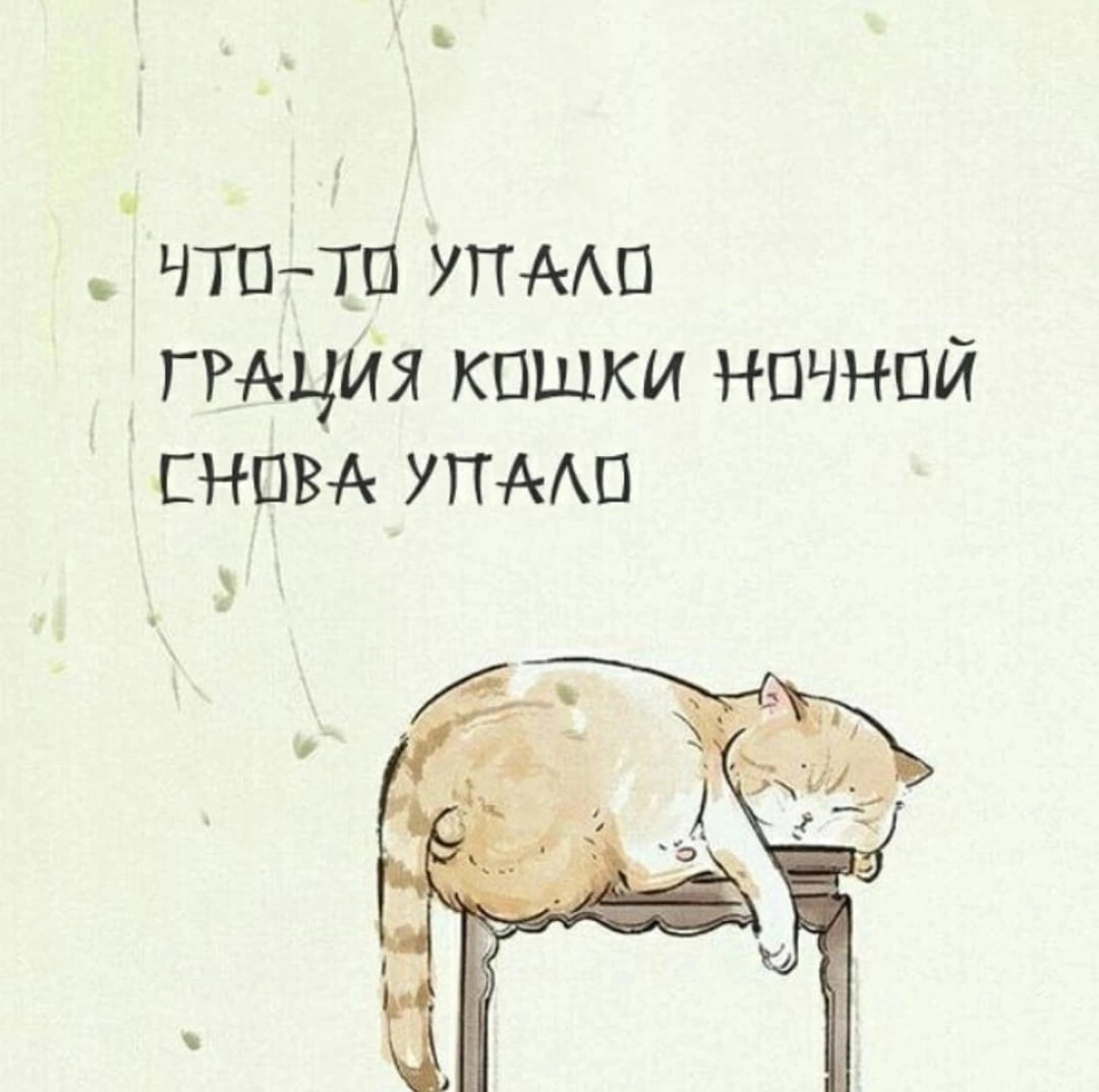 Ловкость кошки грация картошки