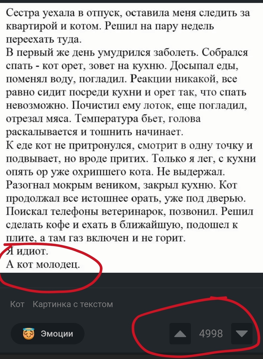 Вы точно человек?