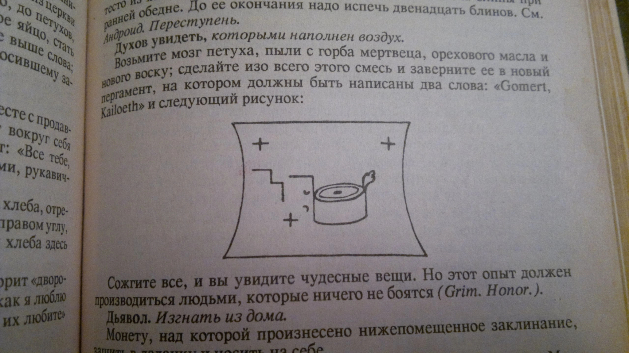 Дайте кротовухе шанс, если у вас носовая каракатица | Пикабу