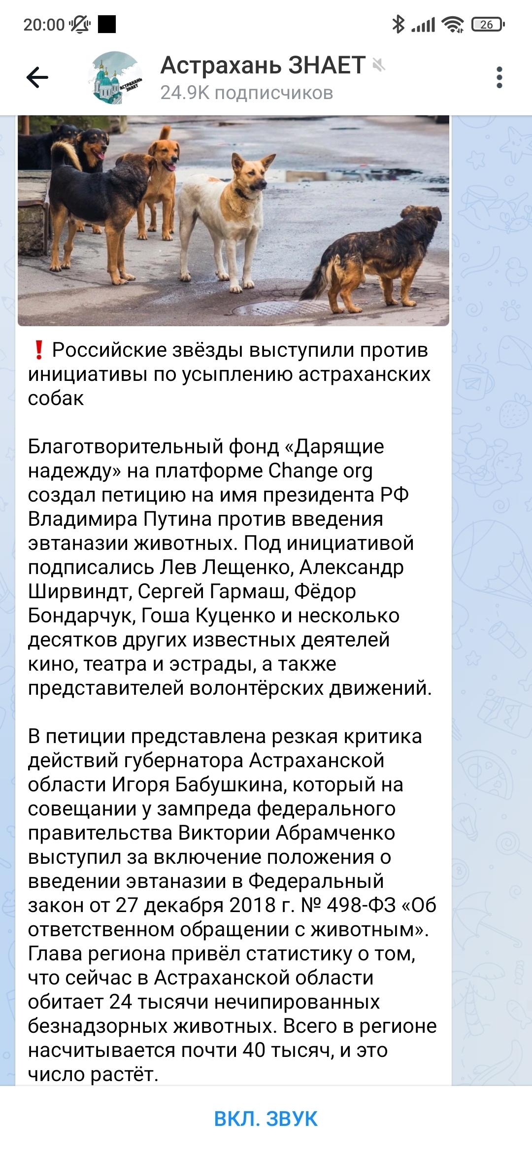 Депутат Госдумы Прусакова Мария заявила что бродячих собак нужно усыплять  