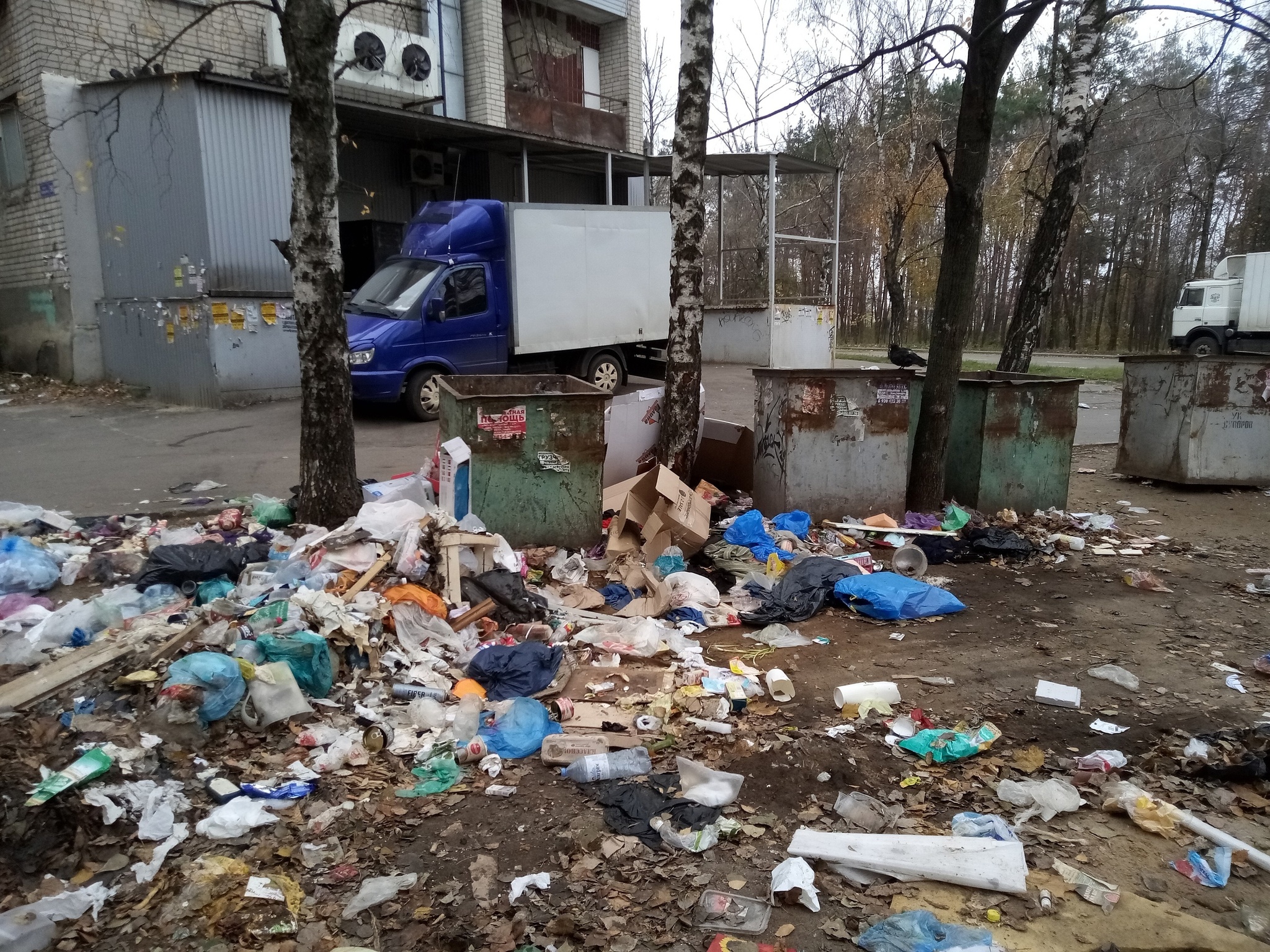 Это должно быть нормой для каждой помойки страны | Пикабу