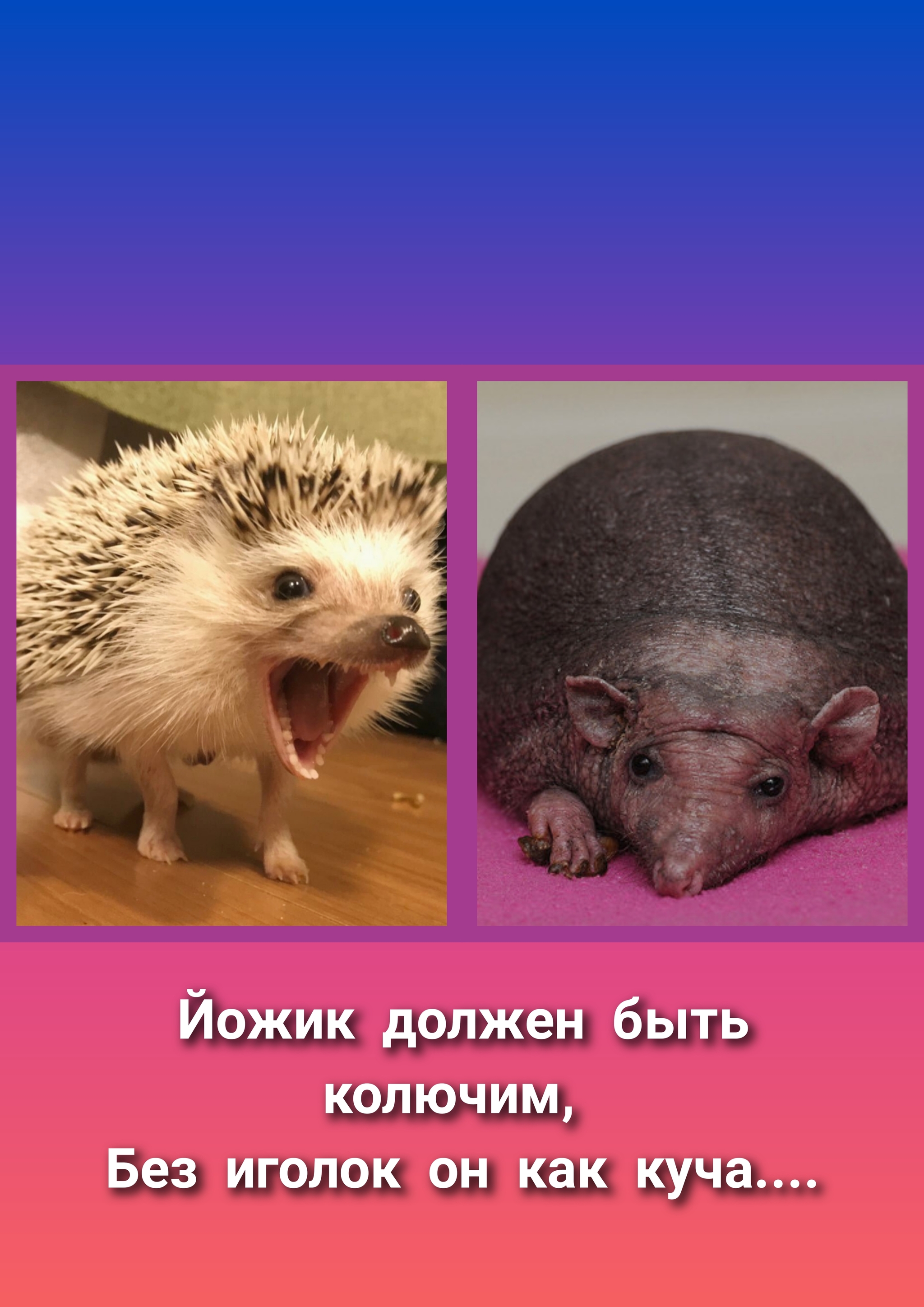 Ежик без иголок шаблон