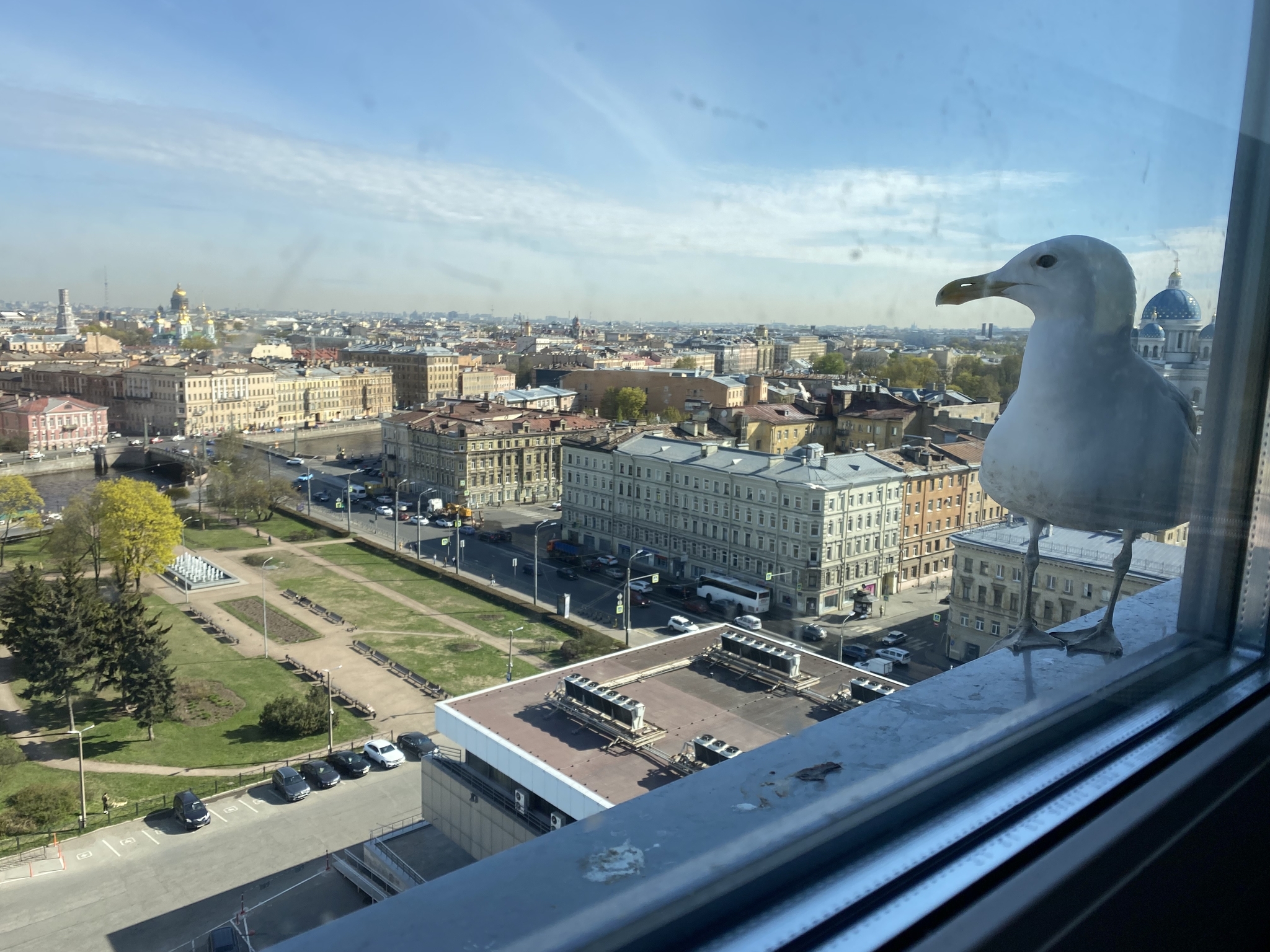 Где остановиться в Санкт-Петербурге. советы от Дарьи часть 1 | Пикабу