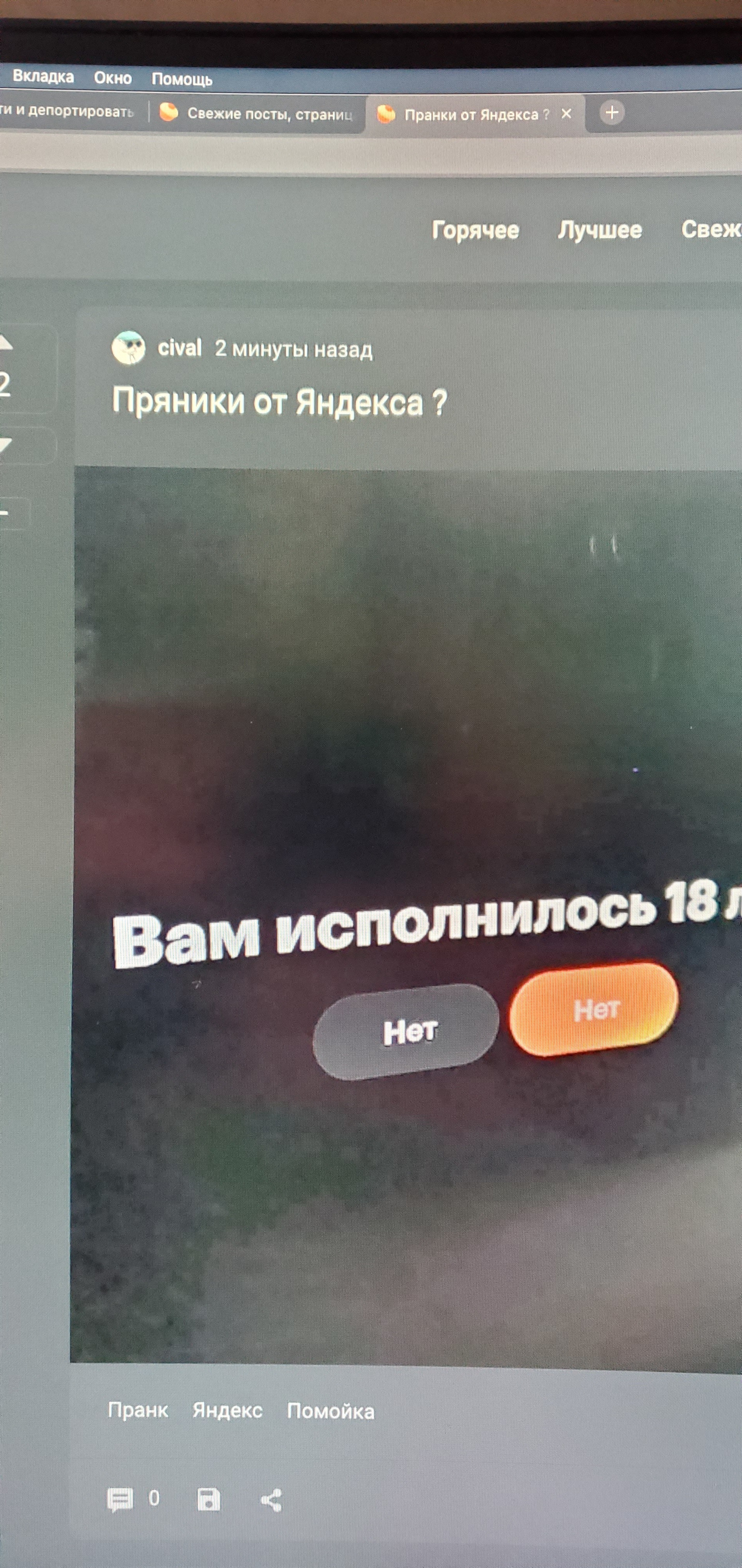 Пранки от Яндекса ? | Пикабу