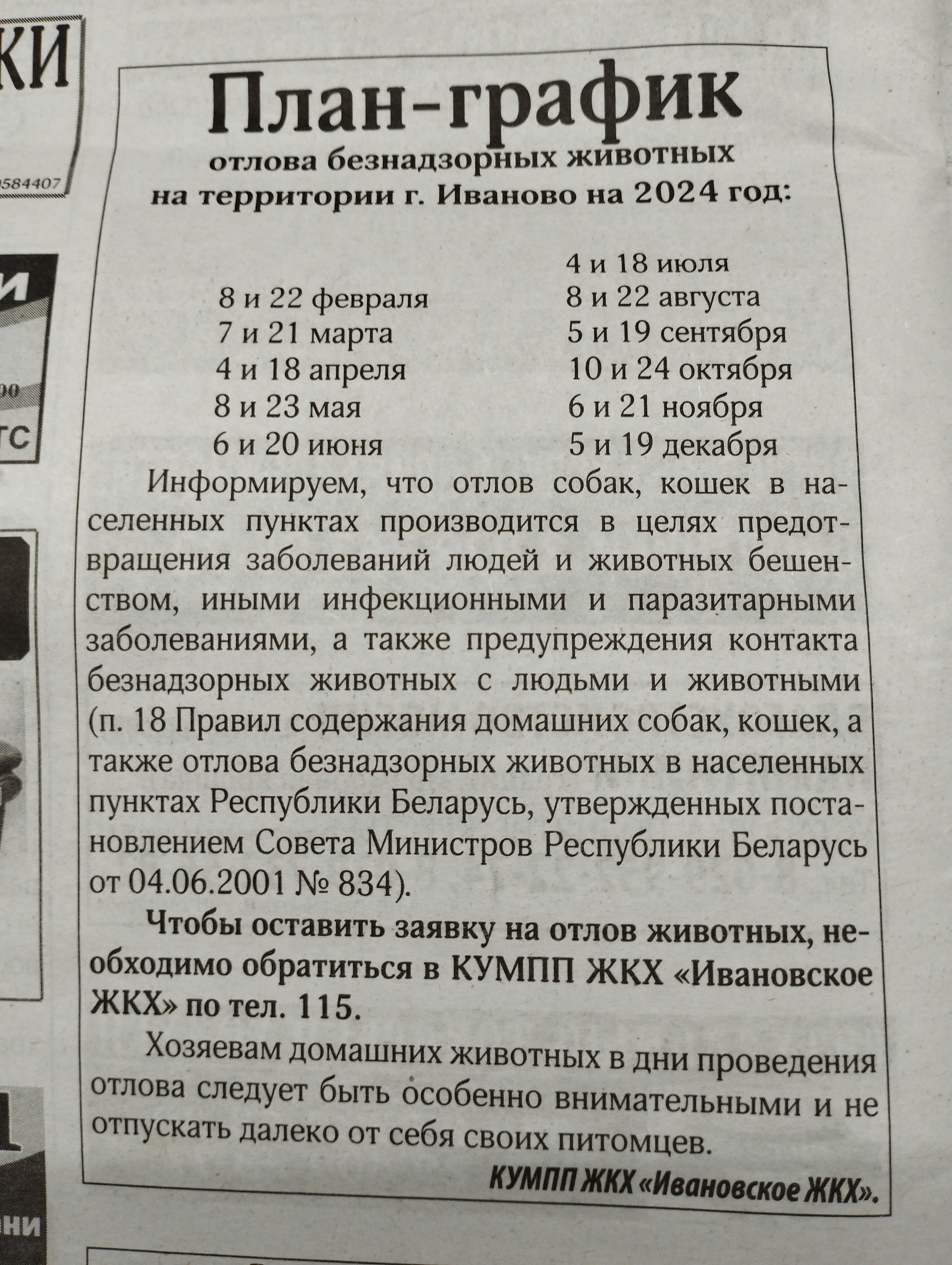 По всей стране активизировались догхантеры», — сюжет от «Пятого канала» |  Пикабу