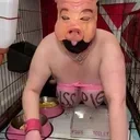 ������ ���������� "Degraded Slaves BDSM"
