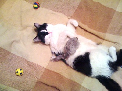 Иллюстрация к комментарию