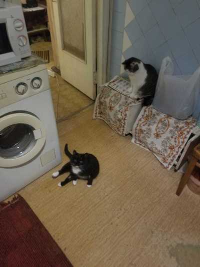 Иллюстрация к комментарию