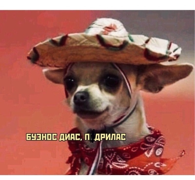 Приложение калории по фотографии