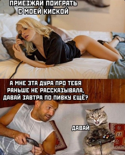 если б у меня был такой кот я бы и не женился наверно. Смотреть фото если б у меня был такой кот я бы и не женился наверно. Смотреть картинку если б у меня был такой кот я бы и не женился наверно. Картинка про если б у меня был такой кот я бы и не женился наверно. Фото если б у меня был такой кот я бы и не женился наверно