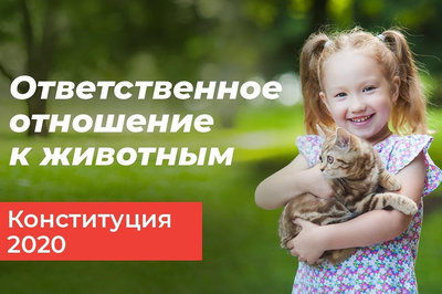 выкинули собаку на улицу что делать. Смотреть фото выкинули собаку на улицу что делать. Смотреть картинку выкинули собаку на улицу что делать. Картинка про выкинули собаку на улицу что делать. Фото выкинули собаку на улицу что делать